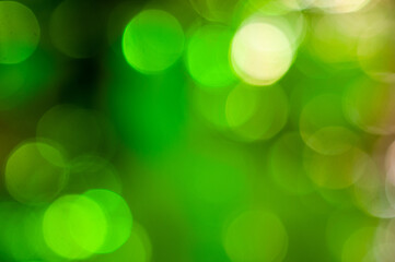 Soft green bokeh background creating a tranquil and natural atmosphere in spring