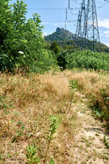 View of the rocks. Active recreation for climbers. Hiking in the mountains.