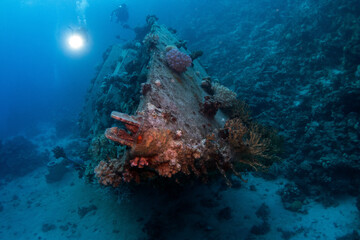 Wreck of sailing yacht near Abu Galawa dive site in Red Sea, Egypt