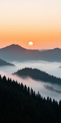 Obraz premium Breathtaking sunset over misty mountains and evergreen trees