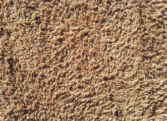 Close-up of beige long pile carpet background. Texture of factory floor covering.