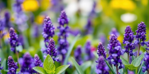 Obraz premium Abstract close-up of purple flower petals and leaves with intricate details, decorative, summer