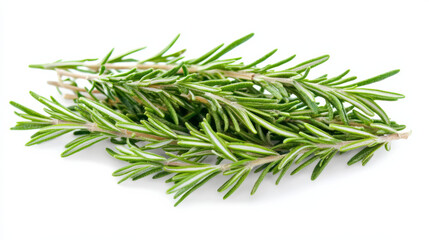 Fototapeta premium Rosemary twig isolated on white background