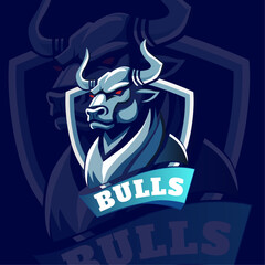 bulls e sport logo