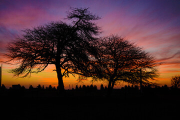 ATARDECER MAGICO