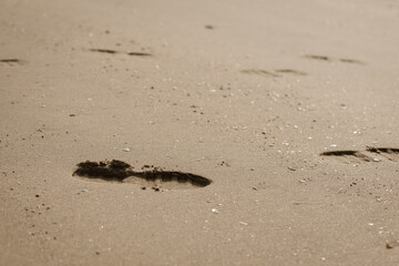 footprints in the sand