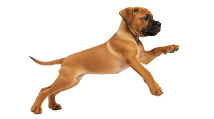 Obraz premium Playful brown puppy jumping with transparent background