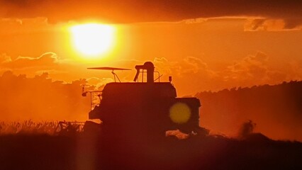 Fototapeta premium Silhouette von einem Mähdrescher im Sonnenuntergang
