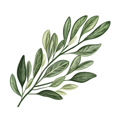 A detailed illustration of a leafy branch with varying shades of green.
