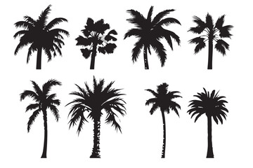 Palm tree silhouette set vector design
