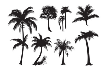 Palm tree silhouette set vector design