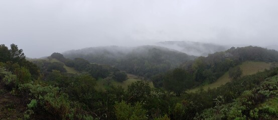 Foggy Hills and Rolling Meadows