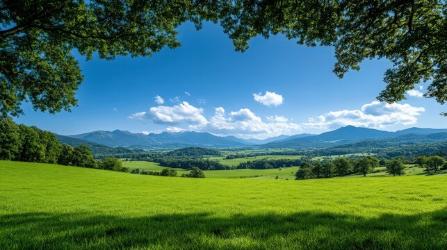 A beautiful, open field with a clear blue sky and a few clouds
