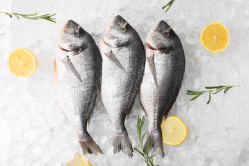 Sea food. Fresh raw fish, lemons and rosemary on ice cubes, flat lay