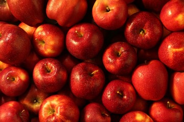 Fresh ripe red apples as background, top view