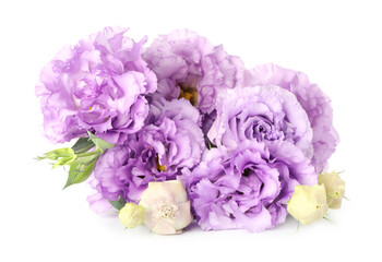 Bouquet of beautiful violet eustoma flowers isolated on white