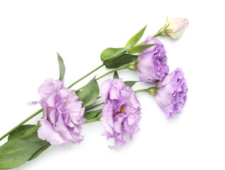 Beautiful violet eustoma flowers with green leaves isolated on white, top view