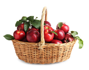 Fresh ripe red apples with green leaves in wicker basket isolated on white