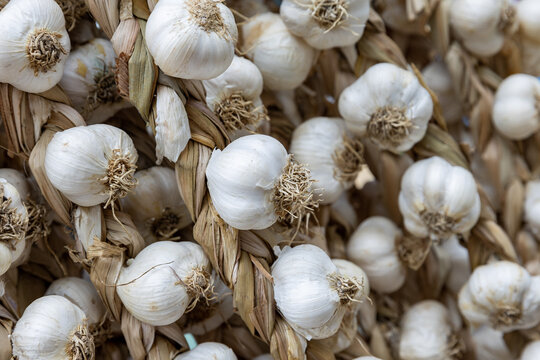 Romania. Bucharest. Bundles of garlic are served at the market.