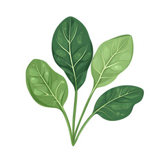 A digital illustration of green spinach leaves, showcasing their vibrant color and texture.