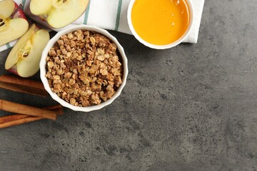 Delicious apple crisp in bowl, fresh fruits, cinnamon sticks and honey on grey table, flat lay. Space for text