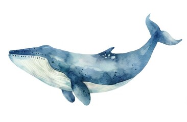 Fototapeta premium Artistic watercolor illustration of a whale swimming gracefully in the ocean, showcasing its majestic form and shades of blue and white.