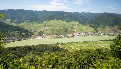 Panorama of Wachau Danube Valley