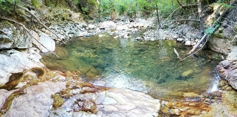 Vibrant Pond with Lush Green Surroundings