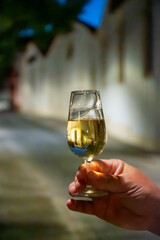 Hand with sherry wine glass with fino and old bogedas jerez wine cellars on background in Jerez de la Frontera, wine glasses outdoor, cityview, Andalusia, Spain