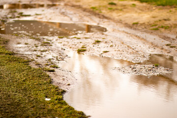 Fototapeta premium A large muddy puddle occupies the foreground, with thick, dark brown mud reflecting the surrounding environment. The puddle’s surface is disturbed, showing the aftermath of rain or foot traffic.