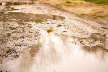 A large muddy puddle occupies the foreground, with thick, dark brown mud reflecting the surrounding environment. The puddle’s surface is disturbed, showing the aftermath of rain or foot traffic.

