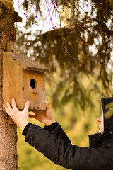 A man carefully hangs a birdhouse on a tree, ensuring a safe and inviting home for birds, surrounded by lush greenery and natural serenity.


