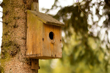 A handcrafted birdhouse hangs gracefully on a sturdy tree branch, offering a cozy shelter for birds amidst the tranquility of nature and vibrant surroundings.


