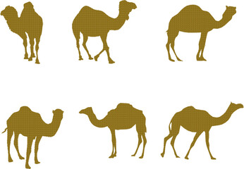 Vector sketch illustration silhouette design drawing of desert animal camel with hump for ride vehicle