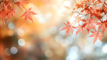 Autumn Leaves Illustration Background