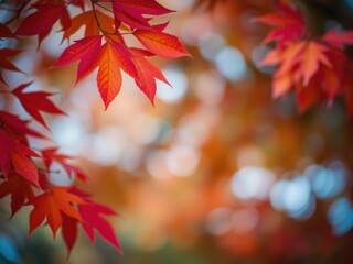 Fototapeta premium Vibrant fall foliage in shades of orange, red, and yellow against a blurred bokeh background, orange, leaves
