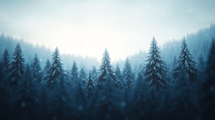 Fototapeta premium Snowy Forest Landscape