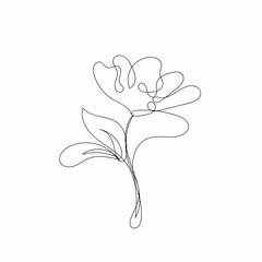 Rose flower line drawing vector