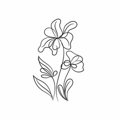 Rose flower line drawing vector