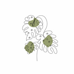 Hand drawn monstera leaf outline illustration