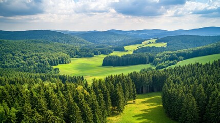 Obraz premium A lush green forest with a clear blue sky. The sky is dotted with clouds, giving the scene a peaceful and serene atmosphere