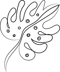Hand drawn monstera leaf outline illustration
