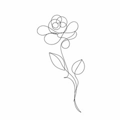 Rose flower line drawing vector