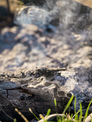 nature, water, stone, rock, sea, fire, plant, texture