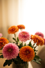 A bouquet of pink and orange chrysanthemums on the wooden table in the room full of warm sunlight