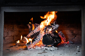 Clay oven with wood burning inside