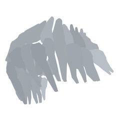 Types of tooth silhouette. Various human tooth with roots, molars, premolars, canines. Vector illustration.