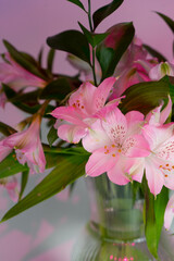 Transparent vase with Peruvian lilies on a pink and purple background.