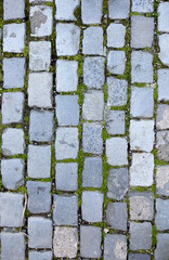 Piso de adoquines grises