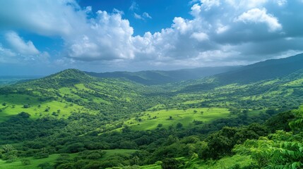 Lush green valley under a bright blue sky.